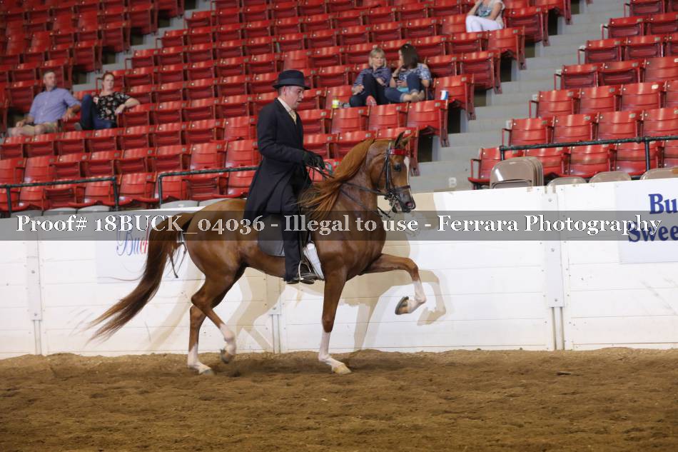 Proof 18BUCK_04036