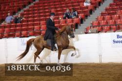 18BUCK_04036 proof