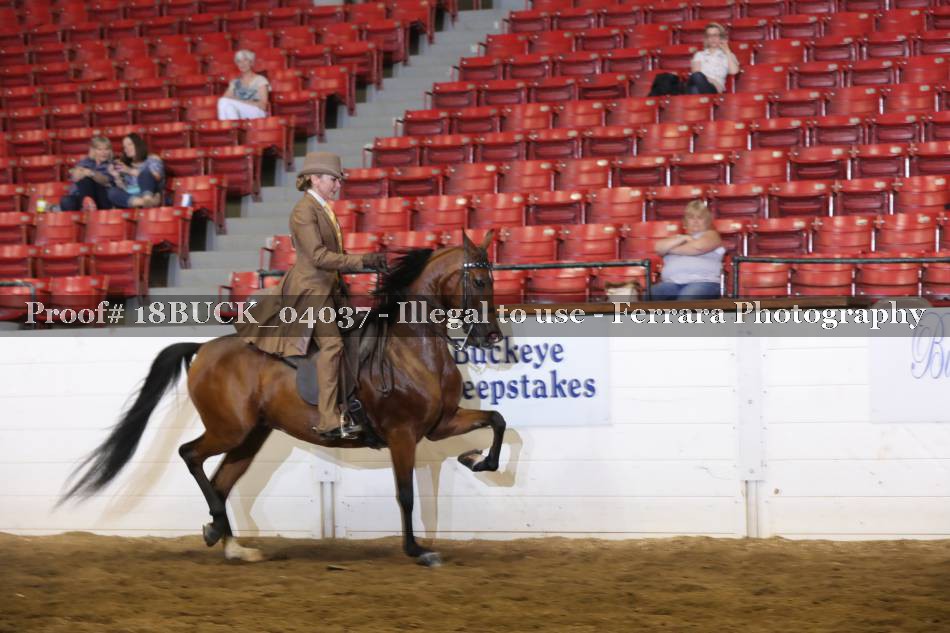 Proof 18BUCK_04037