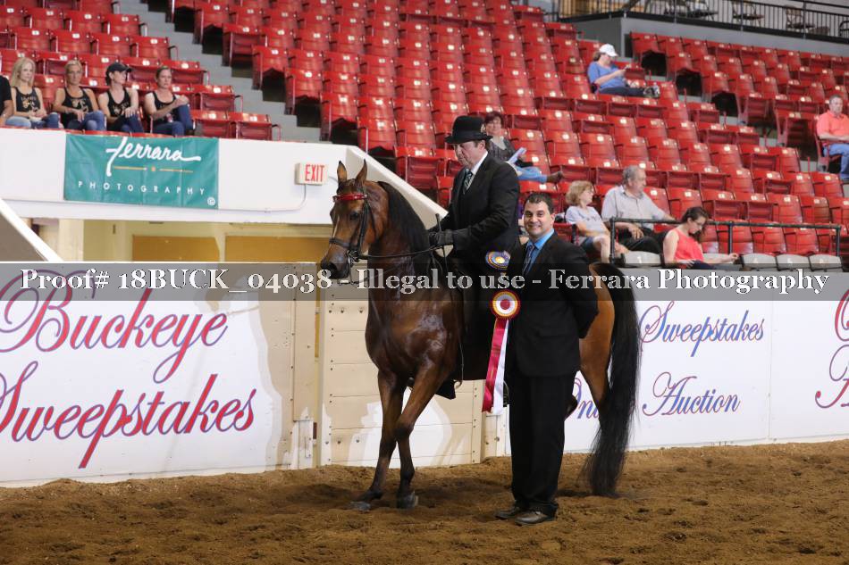 Proof 18BUCK_04038