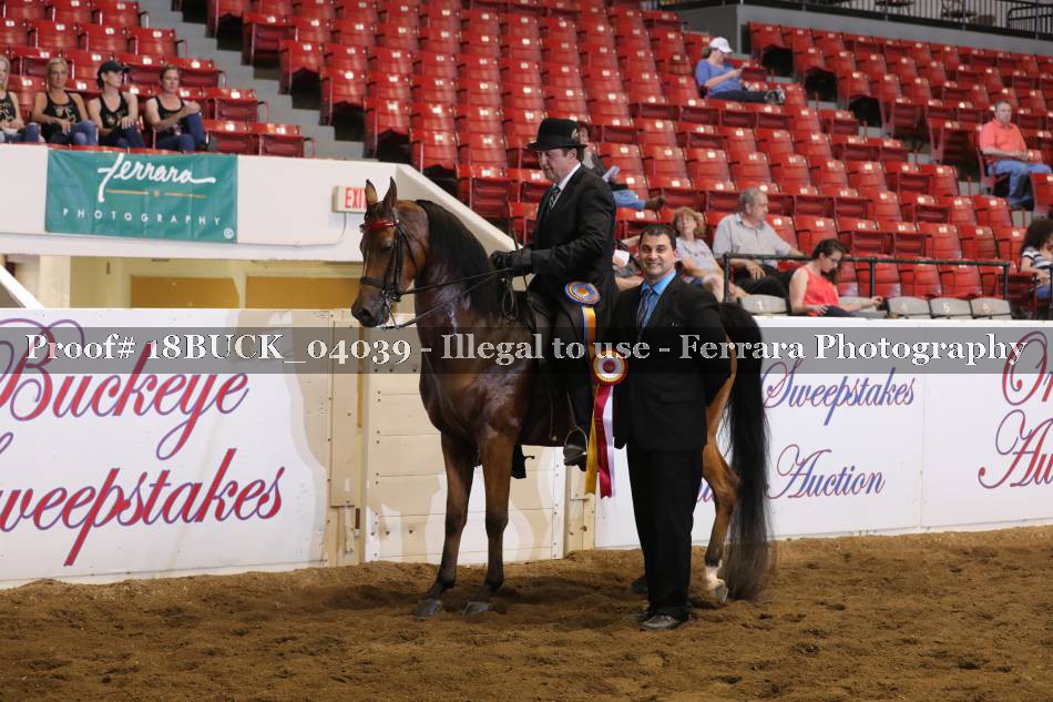 Proof 18BUCK_04039