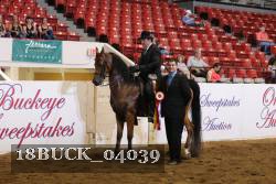 18BUCK_04039 proof