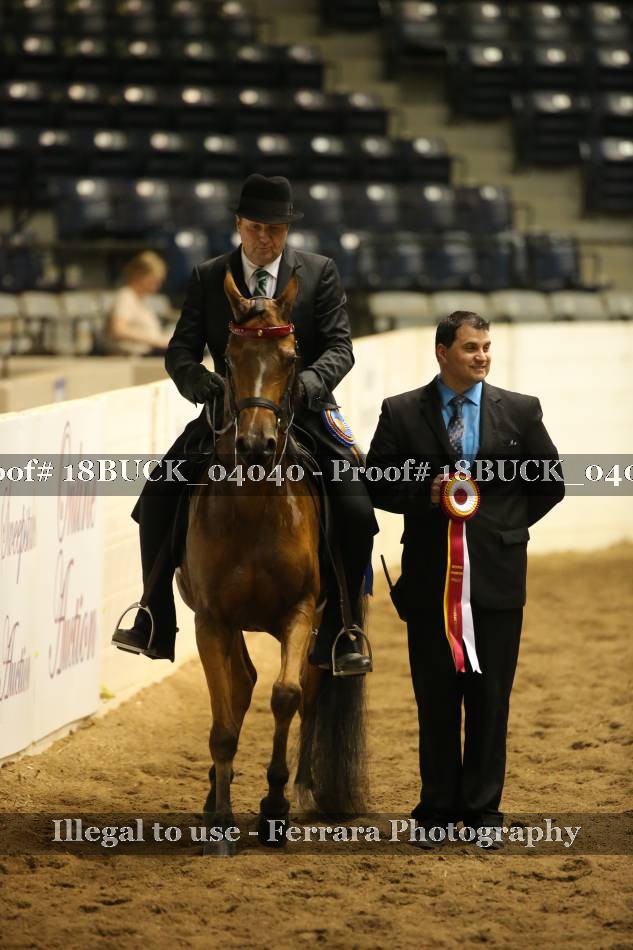 Proof 18BUCK_04040