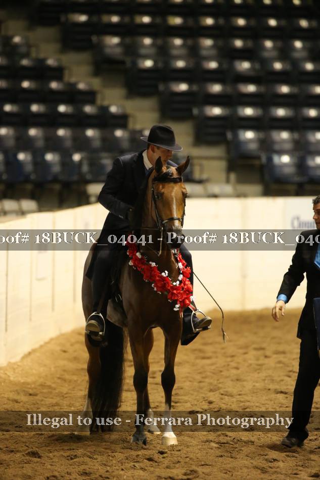 Proof 18BUCK_04041