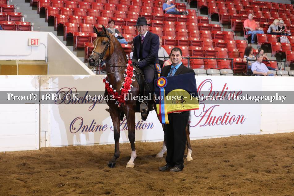 Proof 18BUCK_04042
