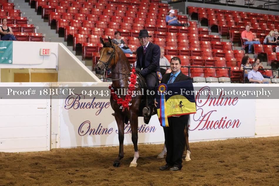 Proof 18BUCK_04043