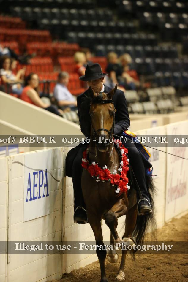 Proof 18BUCK_04046