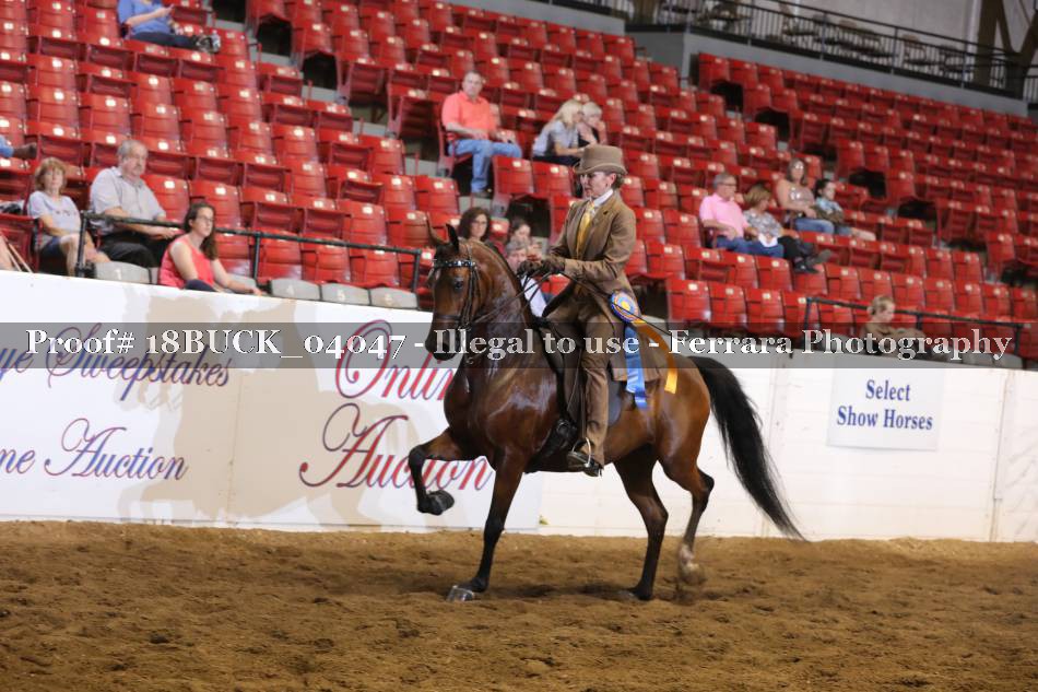 Proof 18BUCK_04047