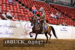 18BUCK_04047 proof