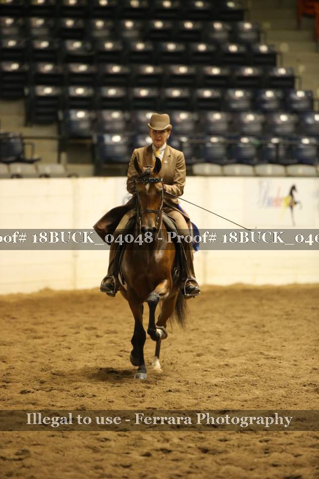 Proof 18BUCK_04048