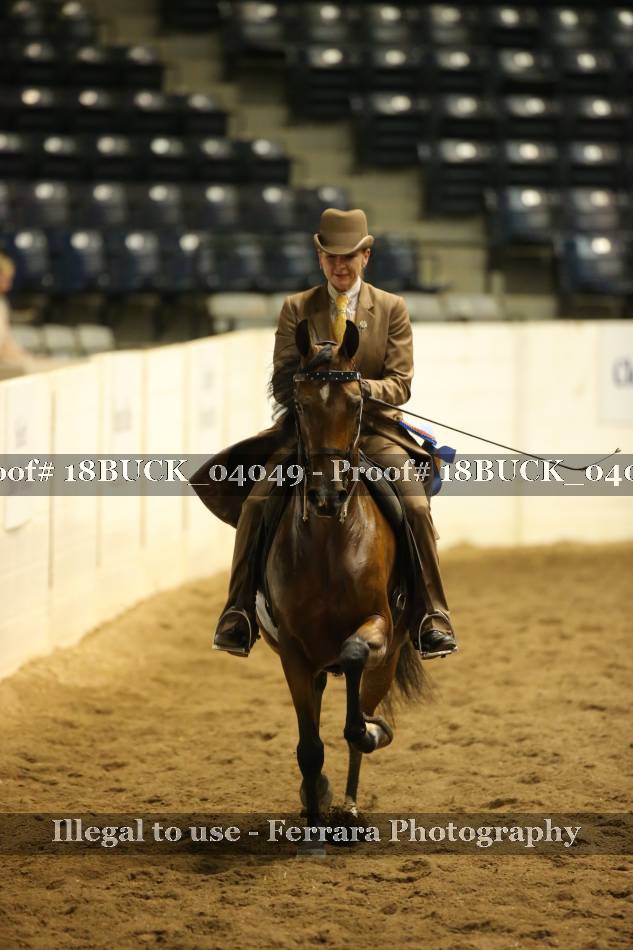Proof 18BUCK_04049