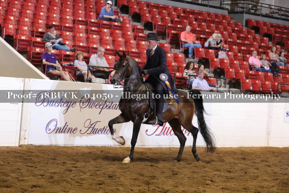 Proof 18BUCK_04050