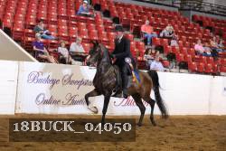 18BUCK_04050 proof