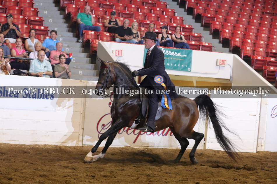 Proof 18BUCK_04051