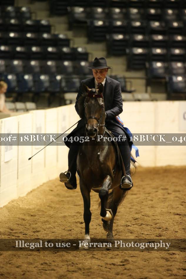 Proof 18BUCK_04052