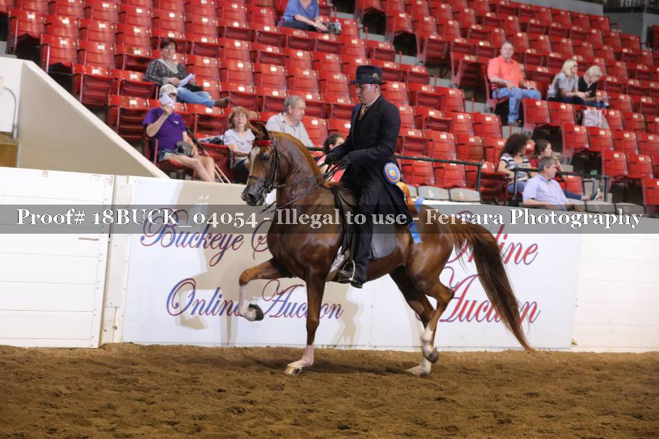 Proof 18BUCK_04054