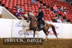 18BUCK_04054 proof