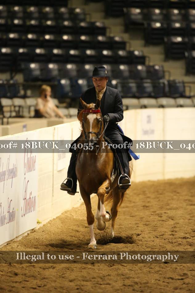 Proof 18BUCK_04055