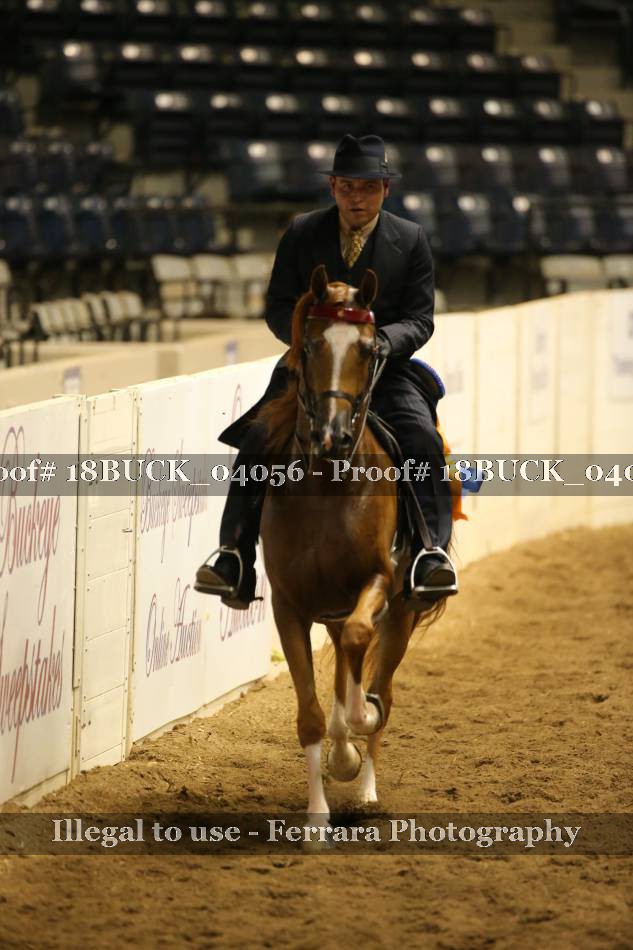 Proof 18BUCK_04056