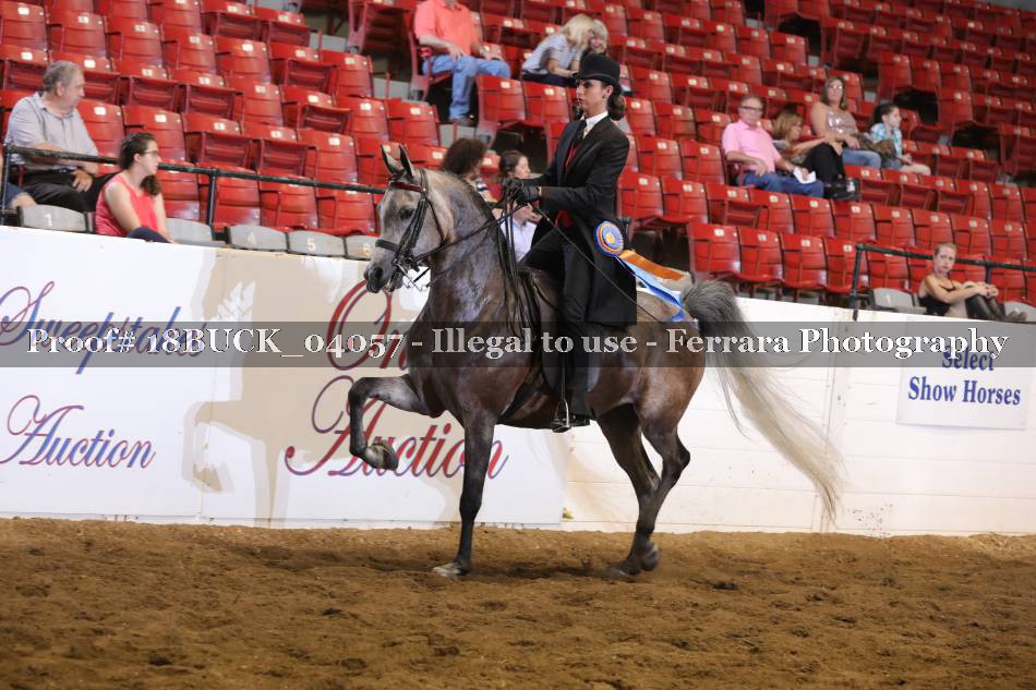 Proof 18BUCK_04057