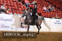 18BUCK_04057 proof