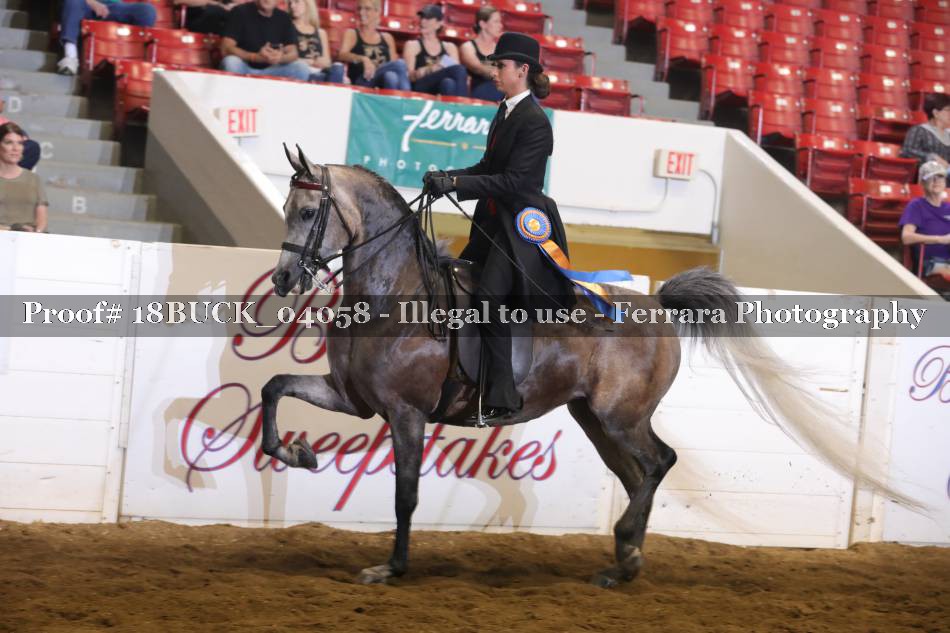 Proof 18BUCK_04058