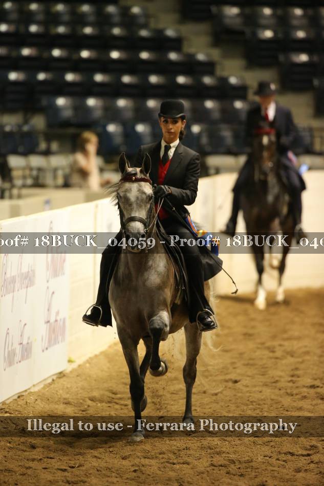 Proof 18BUCK_04059