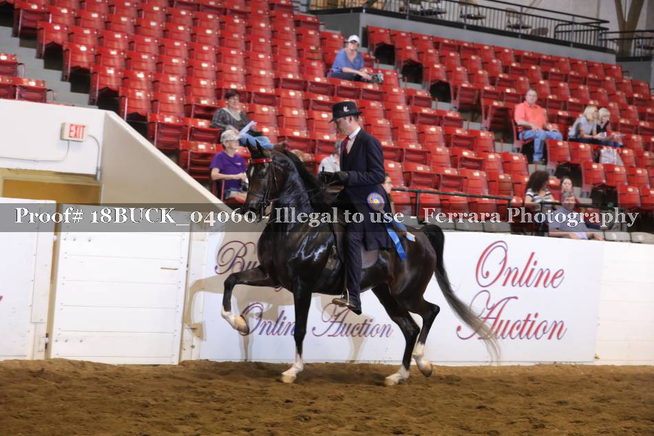 Proof 18BUCK_04060
