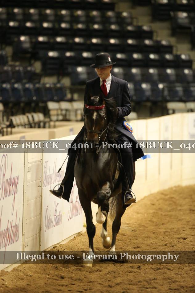 Proof 18BUCK_04061