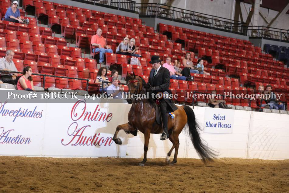 Proof 18BUCK_04062