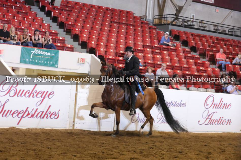 Proof 18BUCK_04063