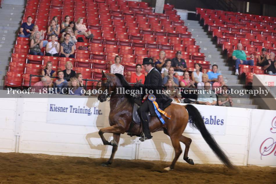 Proof 18BUCK_04064
