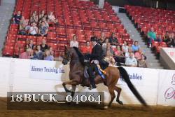 18BUCK_04064 proof