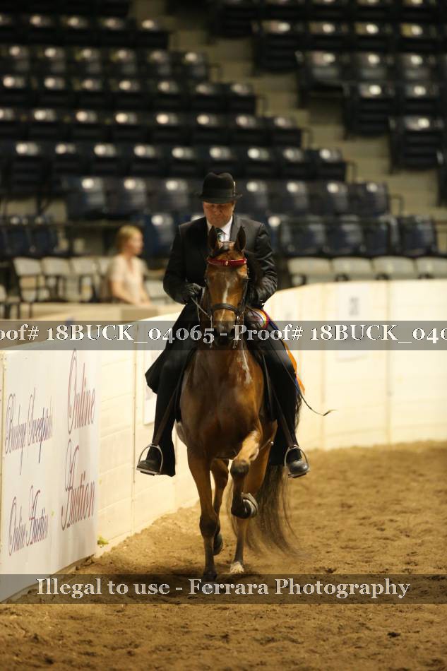 Proof 18BUCK_04065