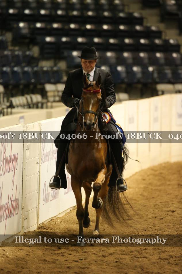 Proof 18BUCK_04066