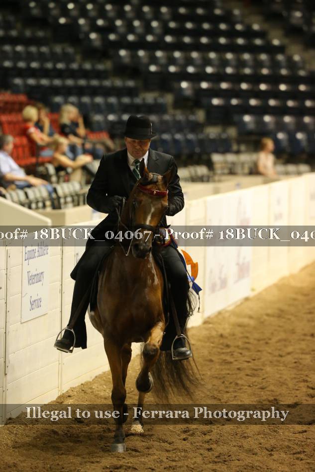 Proof 18BUCK_04067