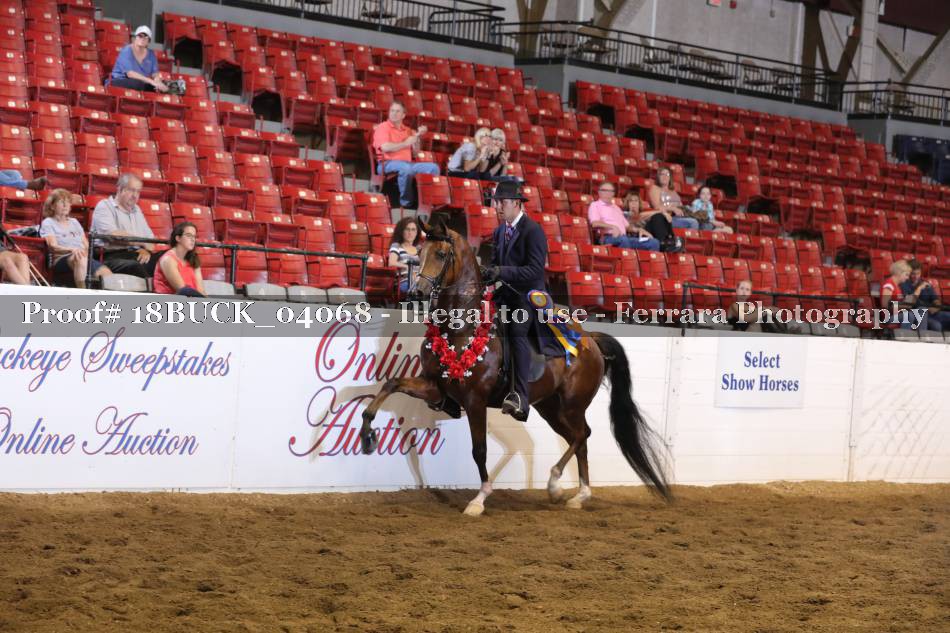 Proof 18BUCK_04068