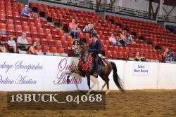 18BUCK_04068 proof