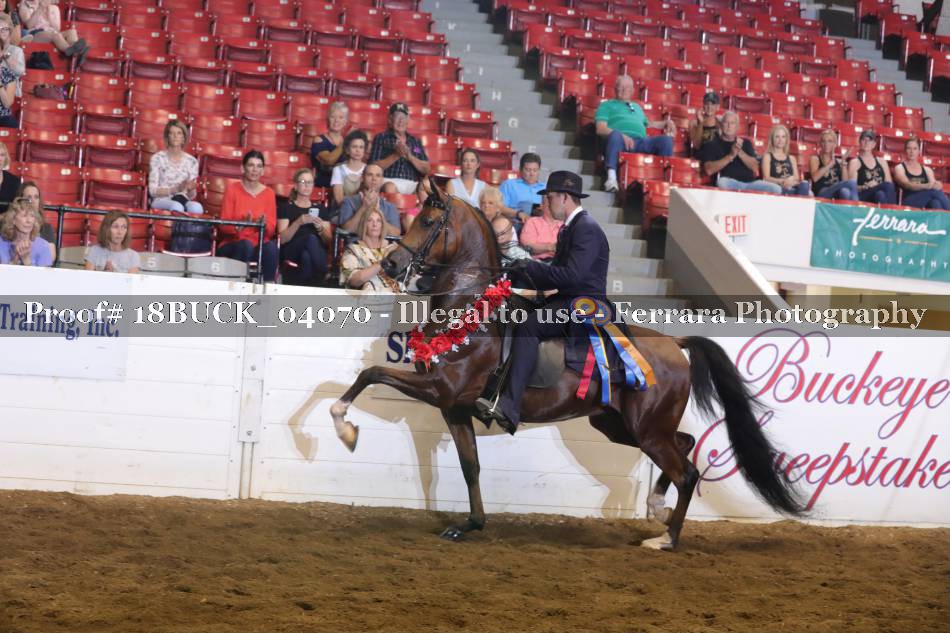 Proof 18BUCK_04070