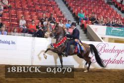 18BUCK_04070 proof