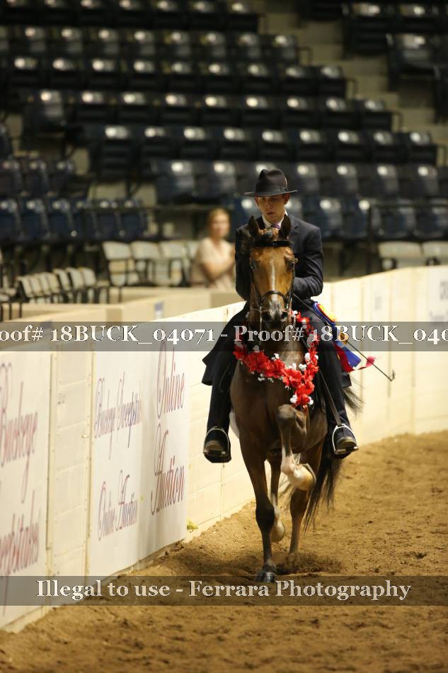 Proof 18BUCK_04071