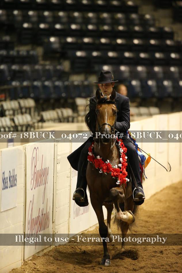 Proof 18BUCK_04072