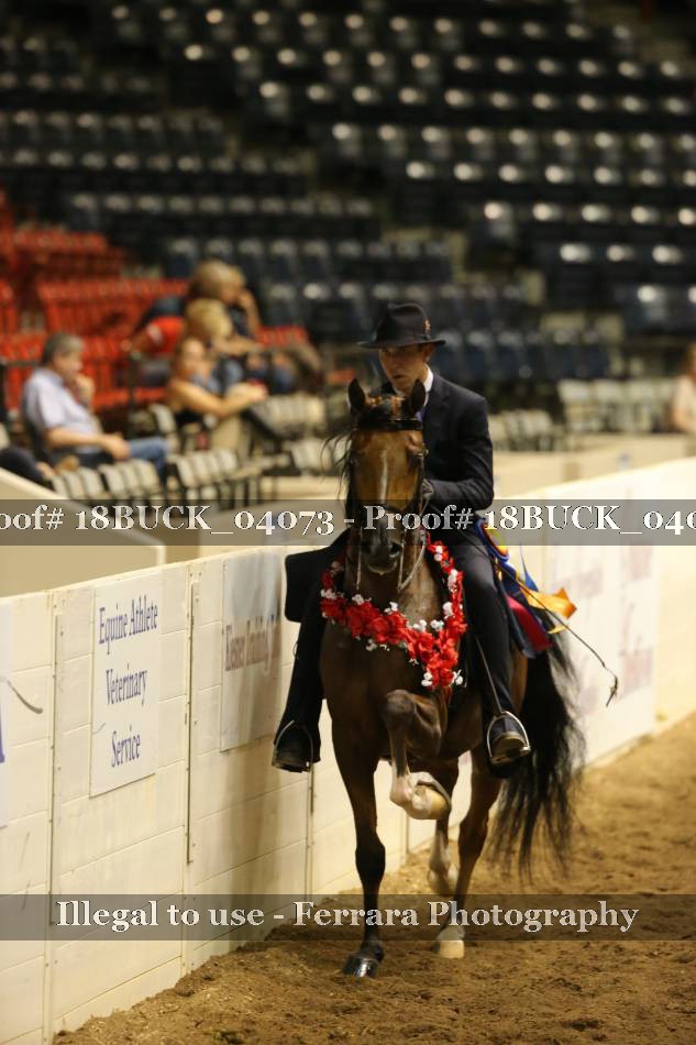 Proof 18BUCK_04073
