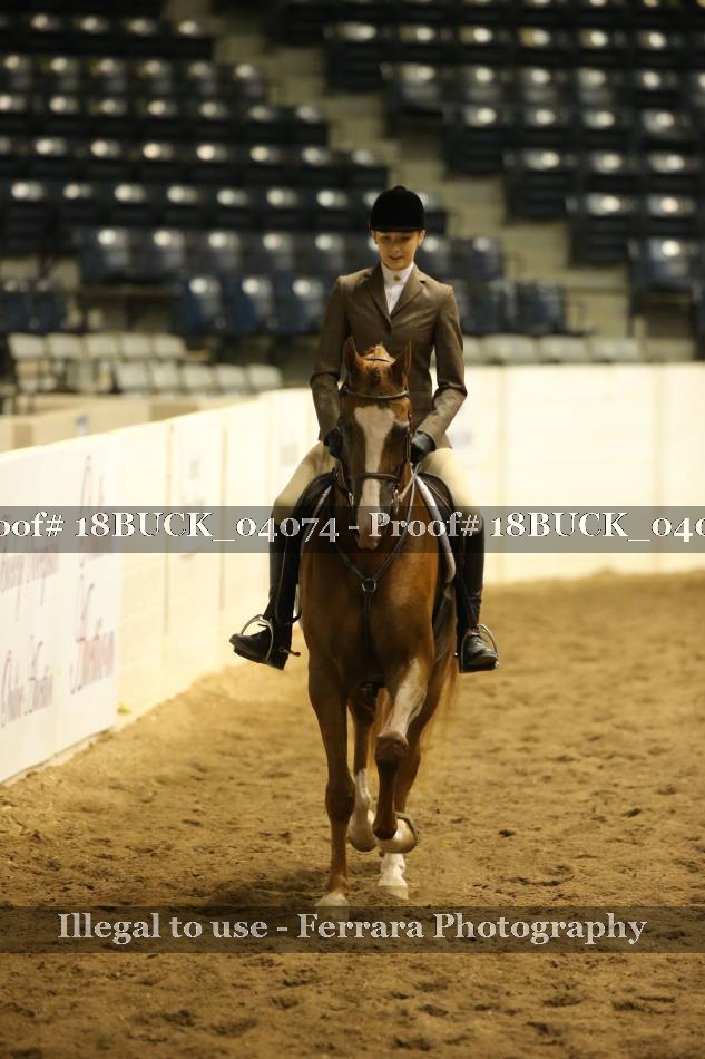 Proof 18BUCK_04074