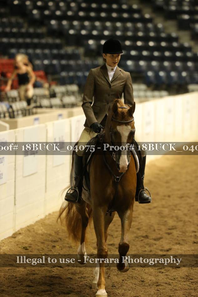Proof 18BUCK_04075