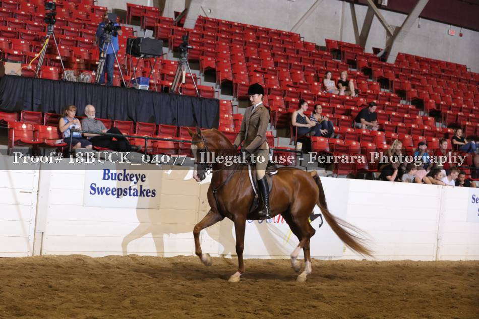 Proof 18BUCK_04077