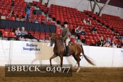 18BUCK_04077 proof