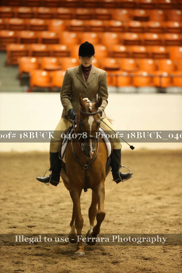 Proof 18BUCK_04078