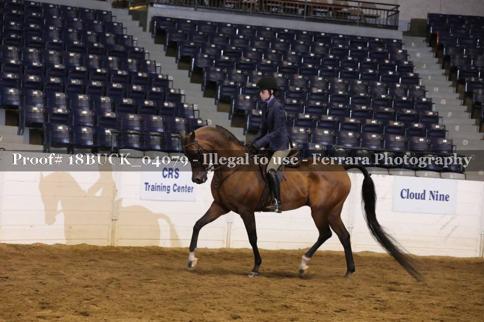 Proof 18BUCK_04079