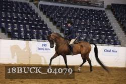 18BUCK_04079 proof
